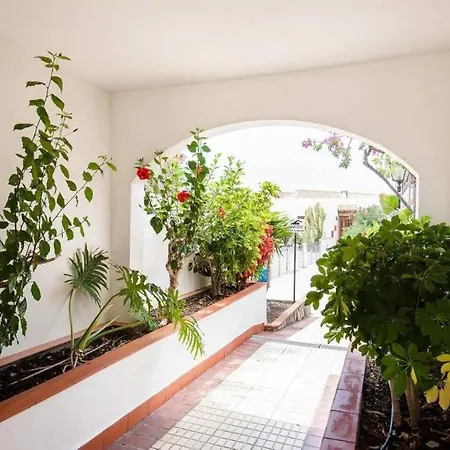 1 Bedroom For 4 People In Tenerife 아파트 아데제